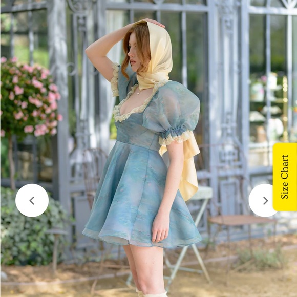 Selkie 2023 Monet Giverny Waterlilies Parliment Dress - Picture 6 of 10